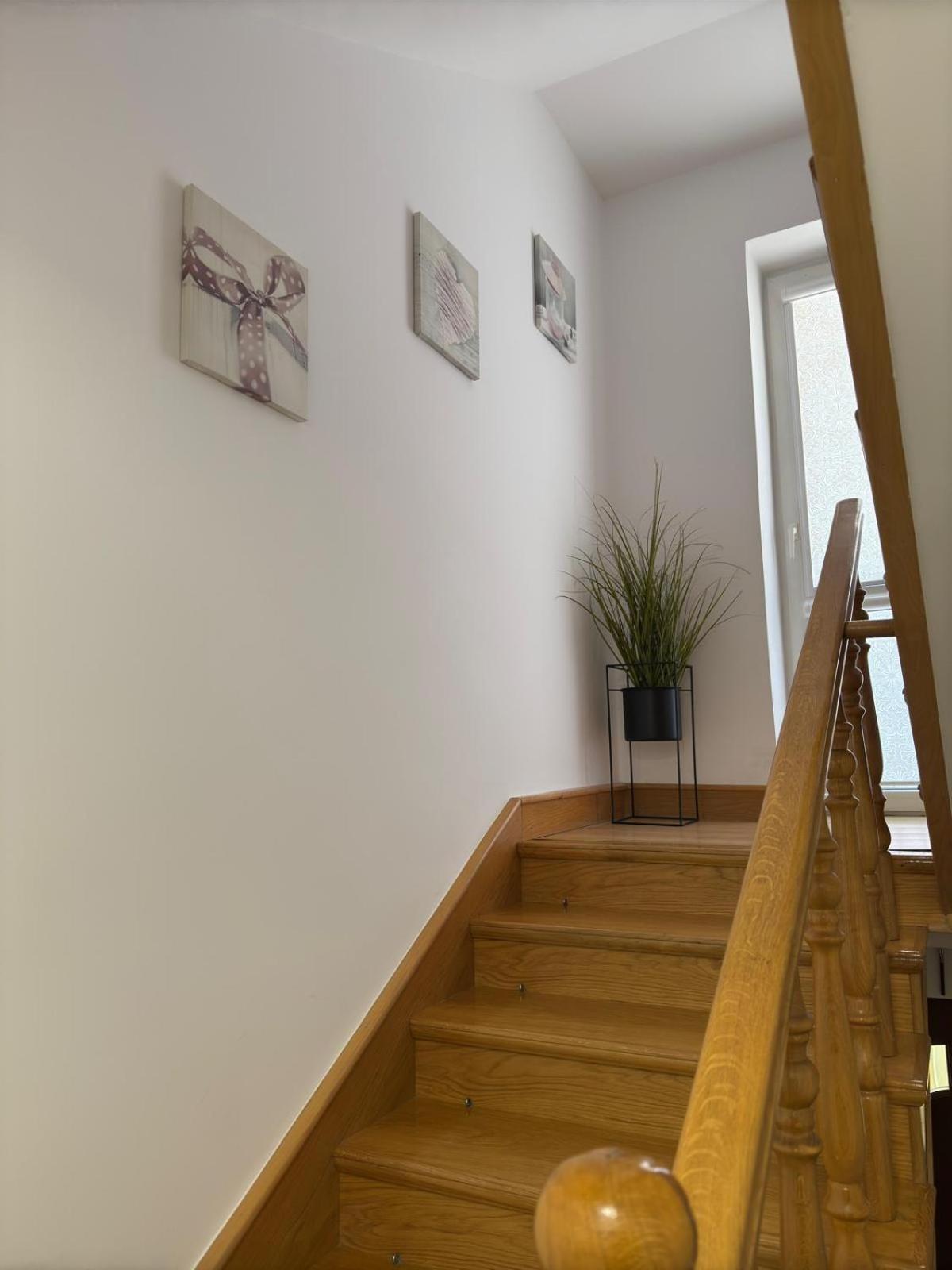 Apartament Jasminowa Хшанув Екстер'єр фото